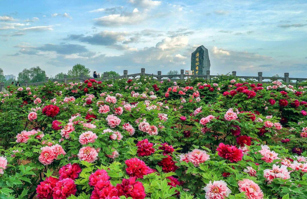 Top 10 Lễ Hội Du Lịch Trung Quốc Đáng Để Trải Nghiệm 8 Ảnh sưu tầm