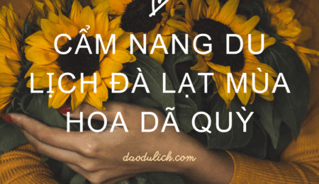 Cẩm nang du lịch đà lạt mùa hoa dã quỳ