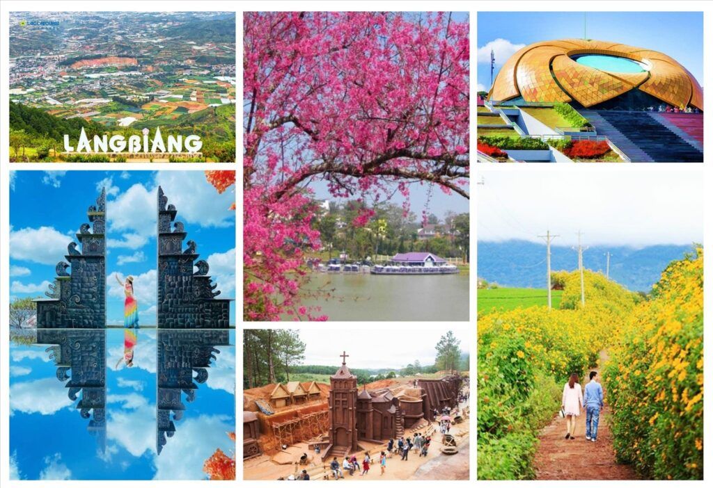 Ảnh sưu tầm