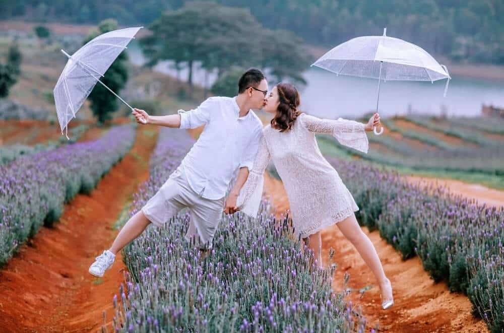 Ảnh sưu tầm