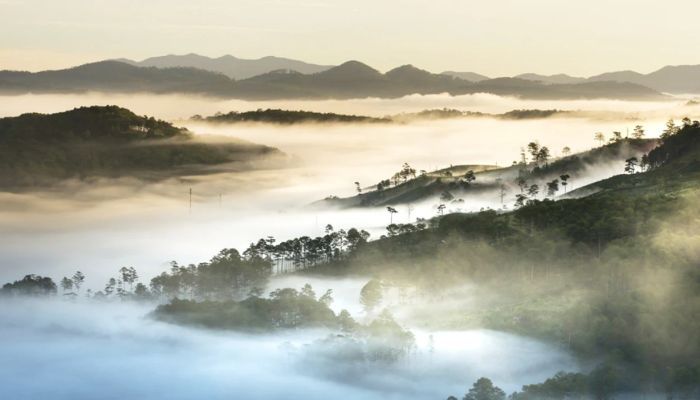 Ảnh sưu tầm