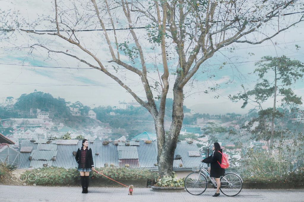 Ảnh sưu tầm