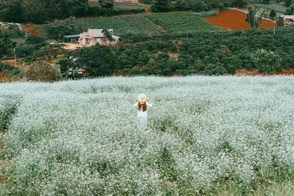 Ảnh sưu tầm