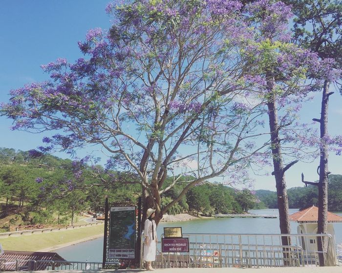 Ảnh sưu tầm