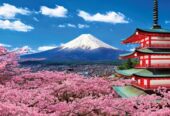 Tour Sài Gòn – Gifu – Shirakawago – Toyama- AI Pene Route-Nagano– Phú Sĩ – Tokyo