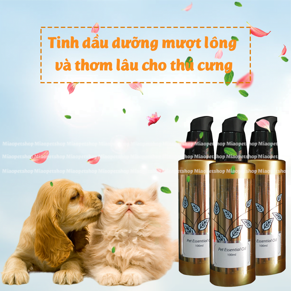 Tinh dầu dưỡng lông spa cho chó mèo Show Queen 100ml