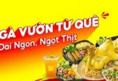 Cơm Gà, Cháo & Gỏi Gà Ta Tường Vy – Nguyễn Văn Quá