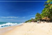 TOUR DU LỊCH SÀI GÒN – MŨI NÉ – PHAN THIẾT 2N1Đ