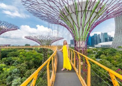 780_crop_ocbc-skywalk-singapore