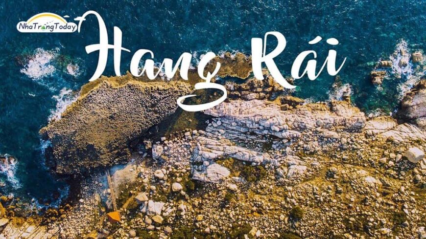 Tour Du Lịch Hang Rái Vĩnh Hy – Vườn Nho – Đồng Cừu