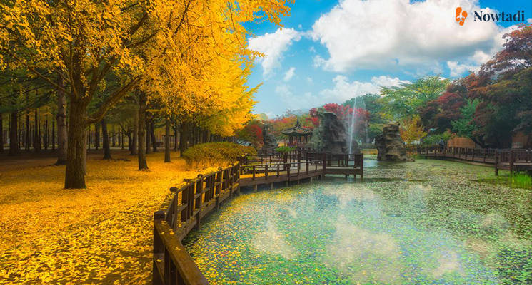 TOUR DU LỊCH SÀI GÒN – HÀN QUỐC – SEOUL – NAMI – EVERLAND