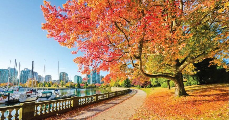 TOUR CANADA BỜ TÂY VANCOUVER – ĐẢO VICTORIA – CÁP TREO