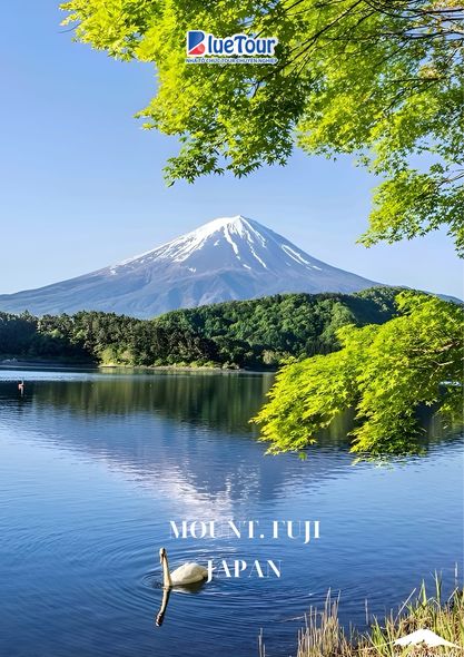 TOUR THIẾT KẾ TATEYAMA KUROBE ALPINE ROUTE HÈ 2024