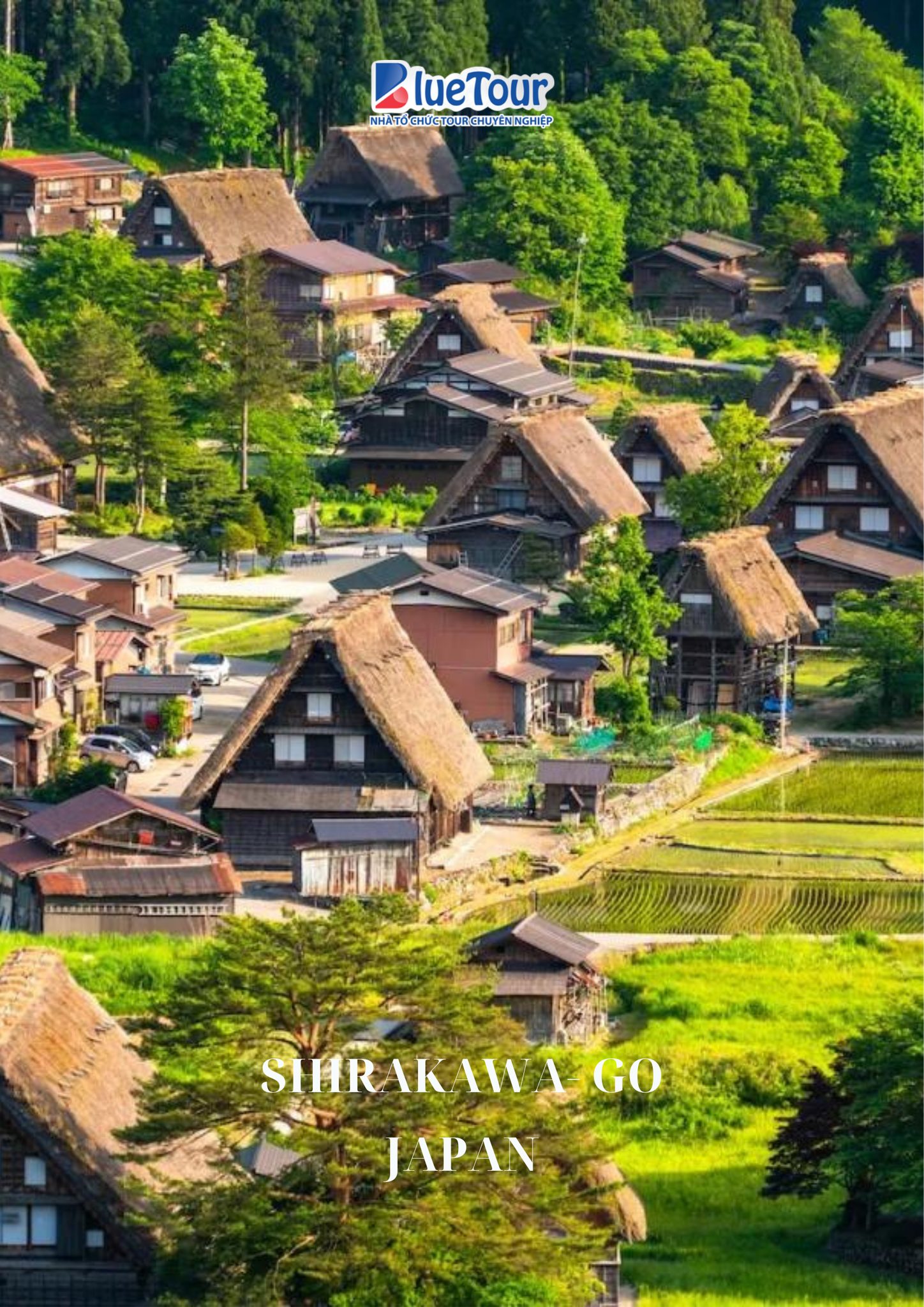 TOUR THIẾT KẾ TATEYAMA KUROBE ALPINE ROUTE HÈ 2024