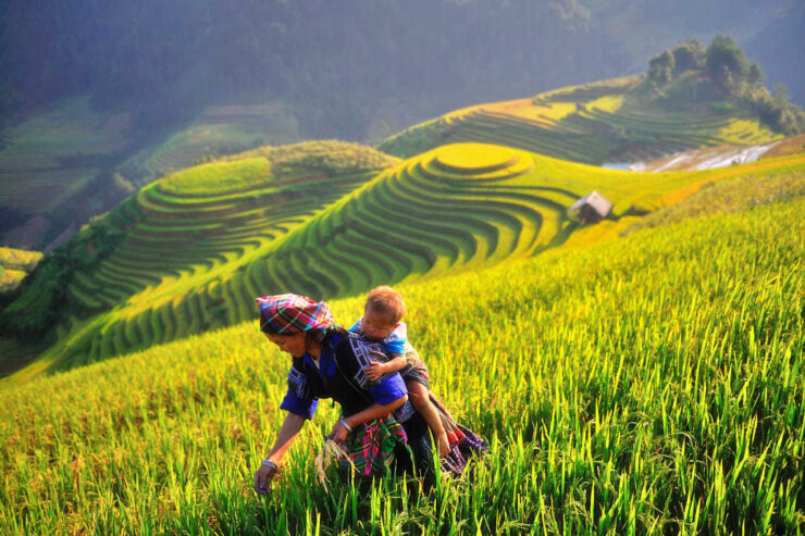 Tour: Mù Cang Chải – Sapa – Lai Châu – Điện Biên – Mộc Châu – Mai Châu 5N4D