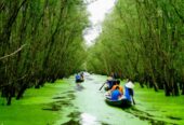 Tour du lịch Miền Tây Sóc Trăng – Bạc Liêu – Cà Mau – Châu Đốc – Cần Thơ 4N3Đ