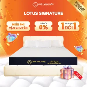 Nệm Cao Su Thiên Nhiên Vạn Xuân Lotus Signature