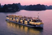 INDOCHINE CRUISE