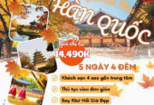 HÀN QUỐC | SEOUL – NAMI – EVERLAND