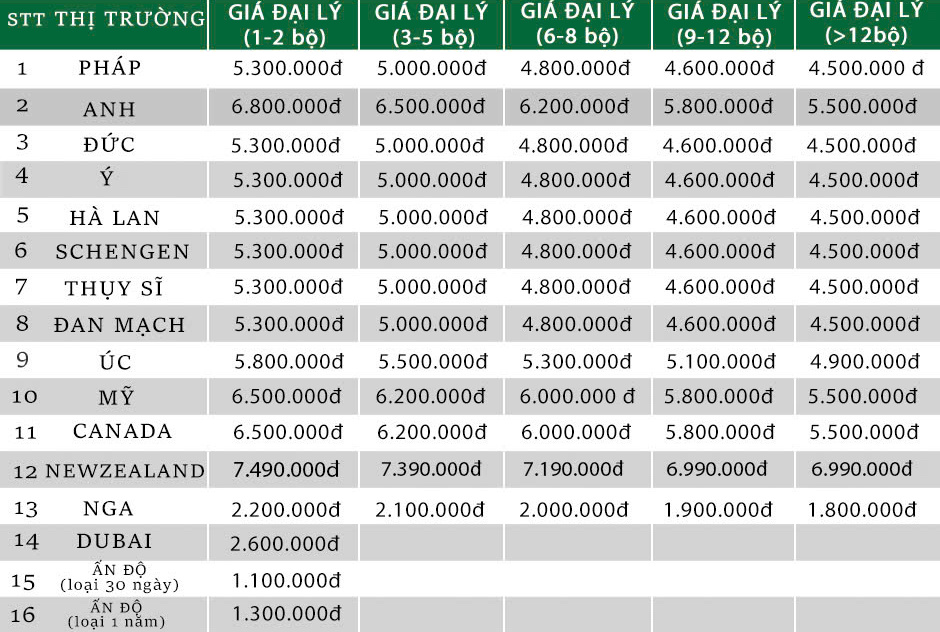 Dịch Vụ Visa Quốc Tế Bao Đậu