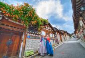 Du lịch Hàn Quốc mùa Hoa Anh Đào – Busan – Gyeongju – Seoul 6N5Đ