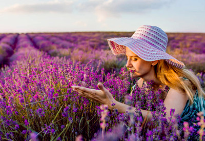 Du lịch Châu Âu mùa Hoa Lavender – Tour Pháp – Monaco – Tây Ban Nha – Bồ Đào Nha