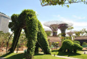 Tour Singapore – Sentosa – Vườn Siêu Cây – Marina Bay Sand – Botanic Garden 3N2D