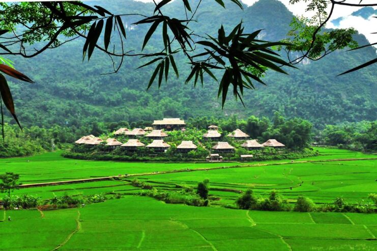 Tour Du Lịch: Sài Gòn – Mai Châu – Mộc Châu – Ninh Bình