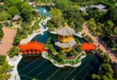 Tour Du Lịch: HCM – Hồng Kông – Quảng Châu – Thẩm Quyến 5N4Đ