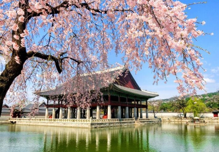 Tour Seoul 5N4Đ Changdeokgung – Công Viên Banpo