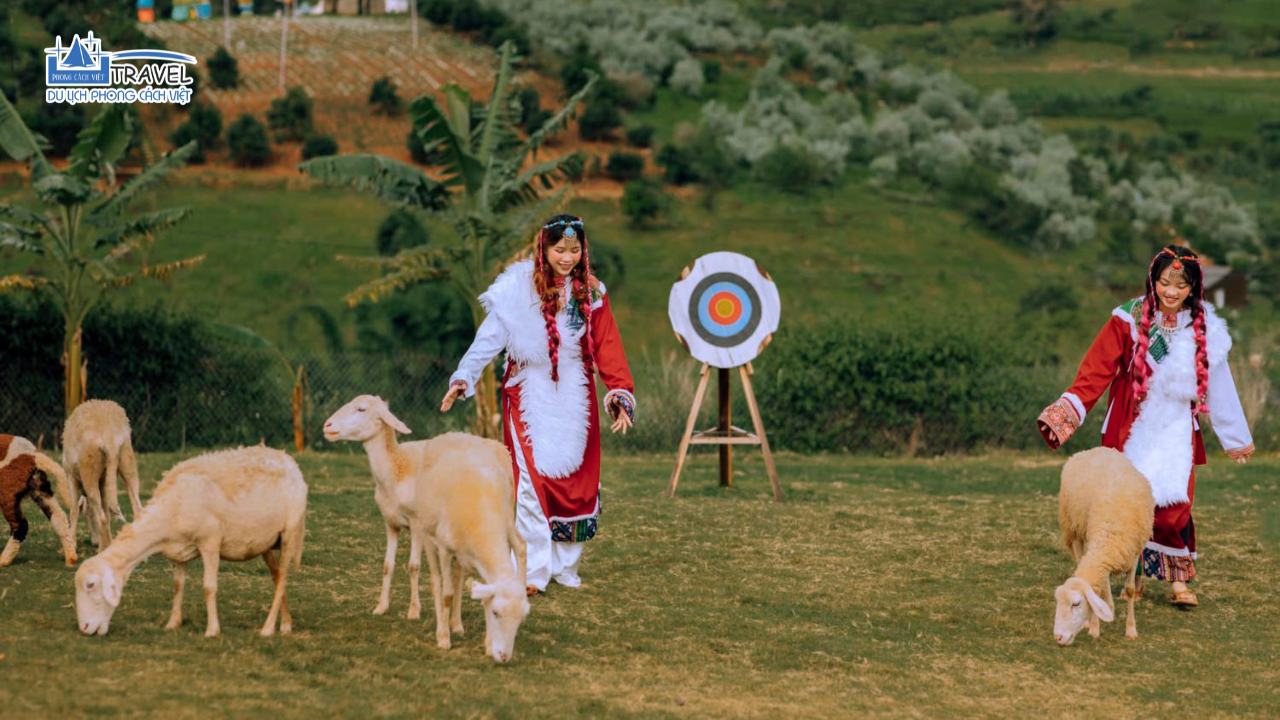 TOUR DU LỊCH TẾT 2025: ĐÀ LẠT – MONGO LAND 3N2Đ