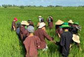 Trại Hè Nông Nghiệp cho “khối nghỉ hè”