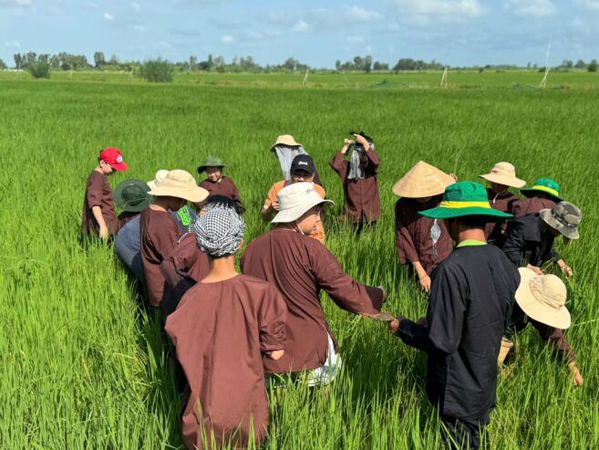 Trại Hè Nông Nghiệp cho “khối nghỉ hè”