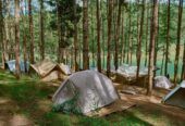Khu cắm trại REO Campsite