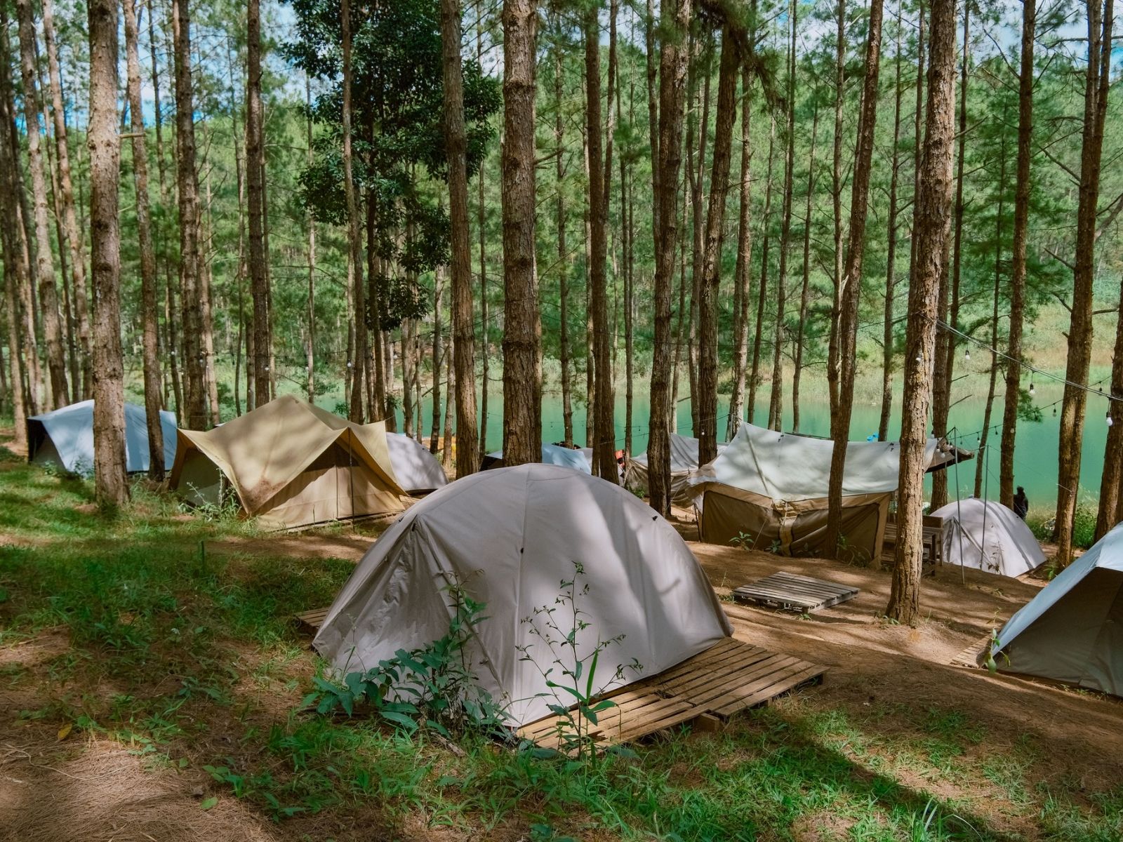 Khu cắm trại REO Campsite