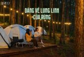 Khu cắm trại REO Campsite