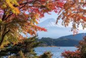 TOKYO – NÚI PHÚ SĨ – NAGOYA – KYOTO – OSAKA (6 NGÀY 5 ĐÊM ) VN AIRLINE