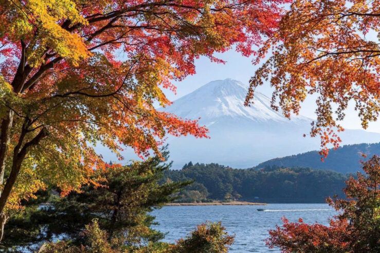 TOKYO – NÚI PHÚ SĨ – NAGOYA – KYOTO – OSAKA (6 NGÀY 5 ĐÊM ) VN AIRLINE