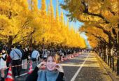 TOKYO – NÚI PHÚ SĨ – NAGOYA – KYOTO – OSAKA (6 NGÀY 5 ĐÊM ) VN AIRLINE