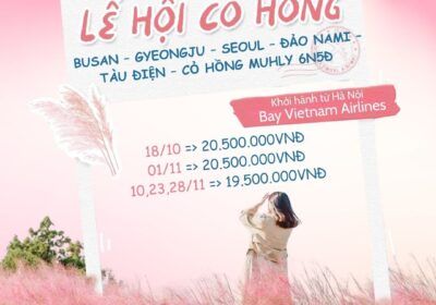 HQ-mua-co-Hong