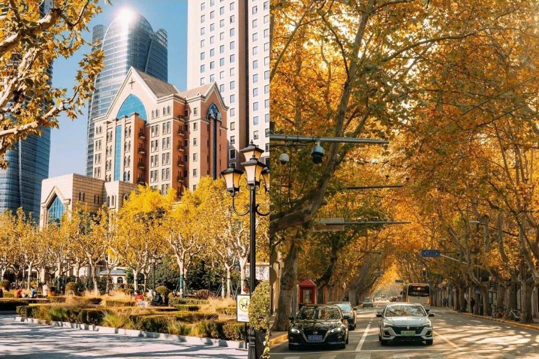 Tour Nam Kinh – Thượng Hải – Hàng Châu – Ô Trấn 5N4D