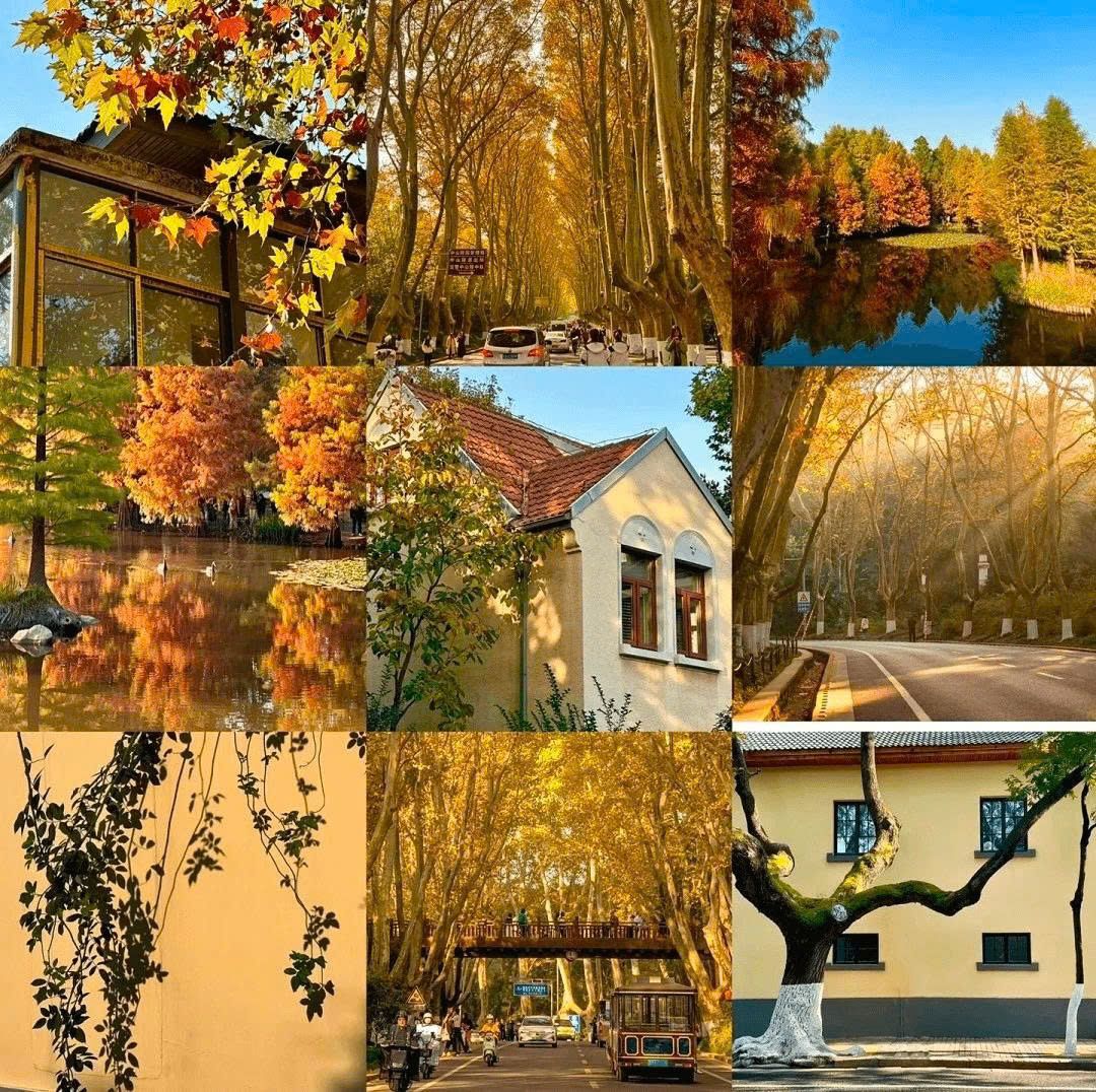 Tour Nam Kinh – Thượng Hải – Hàng Châu – Ô Trấn 5N4D