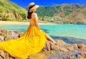 Tour Kỳ Co Eo Gió 1 Ngày: Thiên Đường Biển Đảo Quy Nhơn